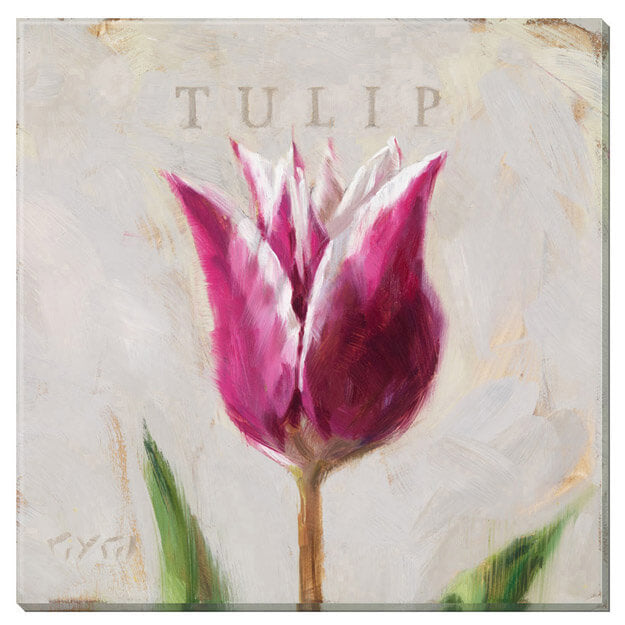 Purple Tulip Giclee Wall Art  