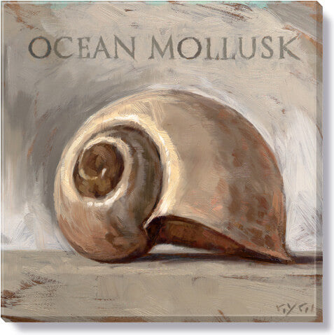 Ocean Mollusk Giclee Wall Art 