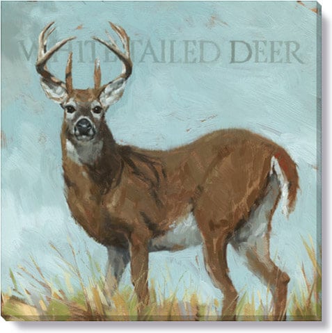 White-Tailed Deer Giclee Wall 