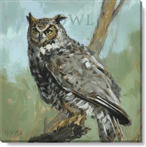 Owl Giclee Wall Art           