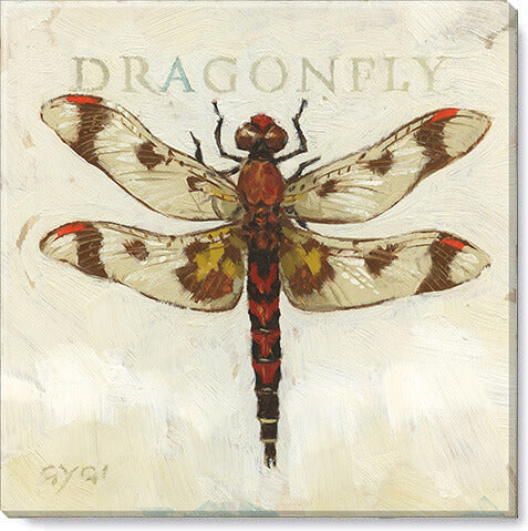 Brown Dragonfly Giclee Art    