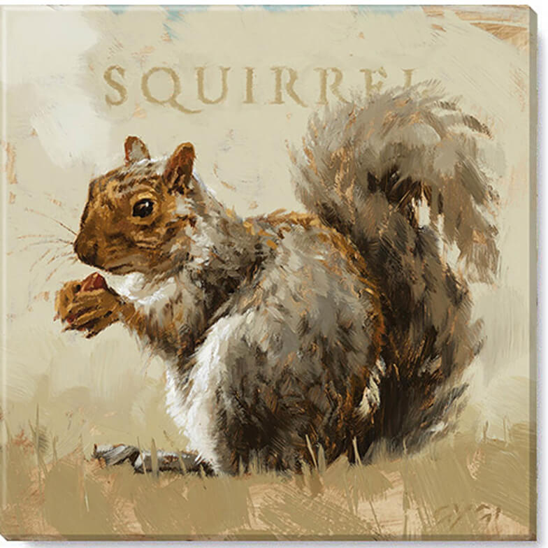 Squirrel Giclee Wall Art      