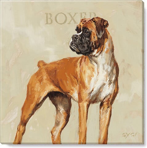 Boxer Giclee Wall Art         