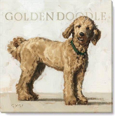 Goldendoodle Giclee Wall Art  