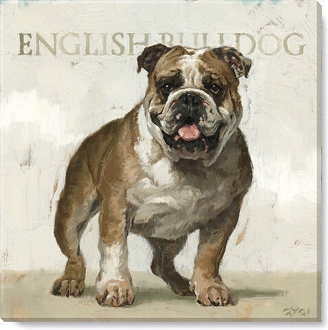 English Bulldog Giclee Wall Ar