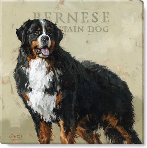 Bernese Mountain Dog Wall Art 