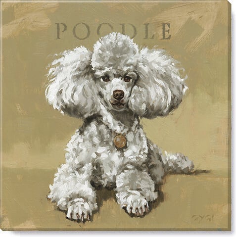 Poodle Giclee Wall Art        