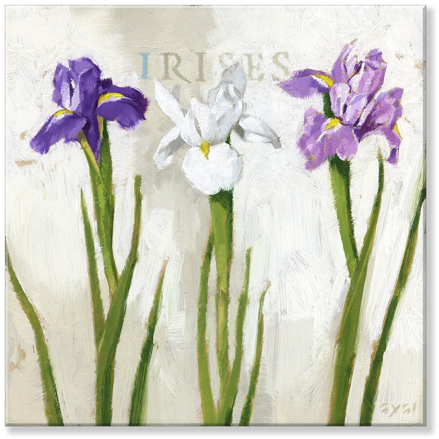 Iris Trio Giclee Wall Art     