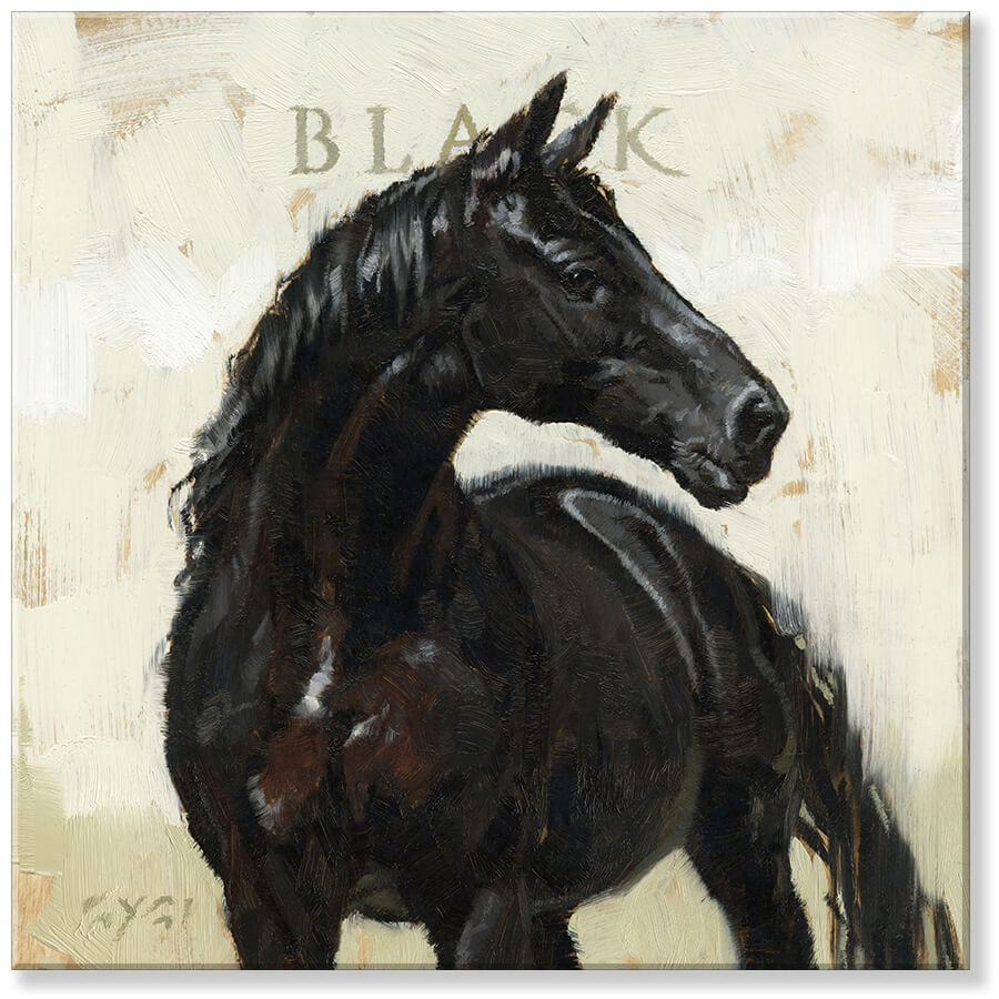 Black Horse Giclee Wall Art   