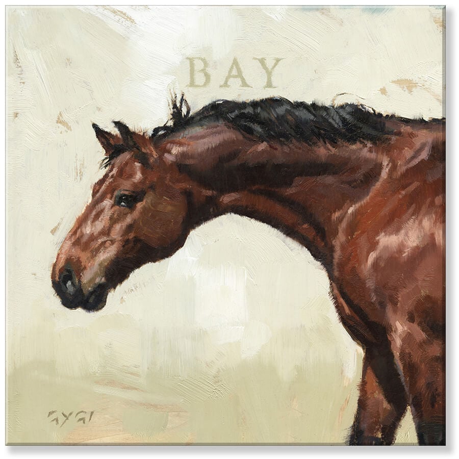 Bay Horse Giclee Wall Art     