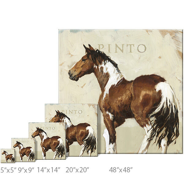 Pinto Horse Giclee Wall Art   