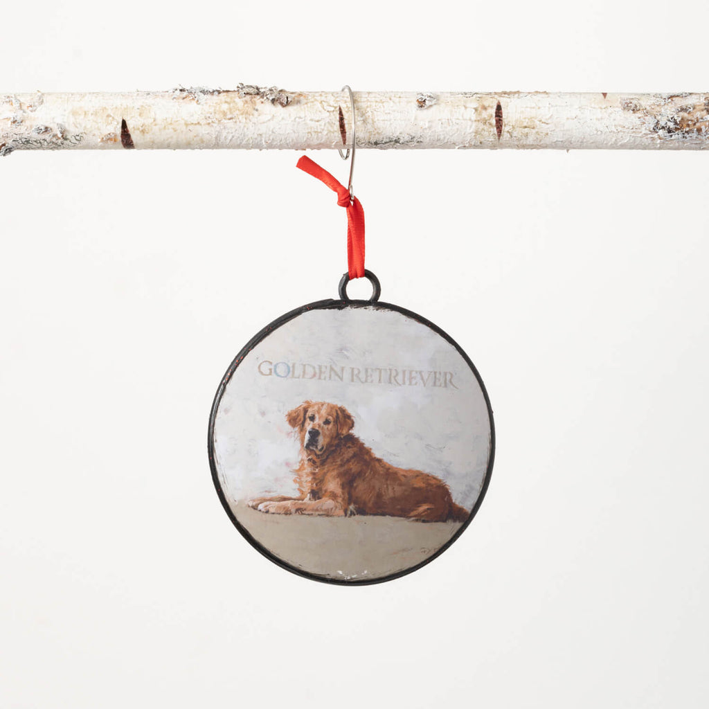 Dg Golden Retriever Ornament  