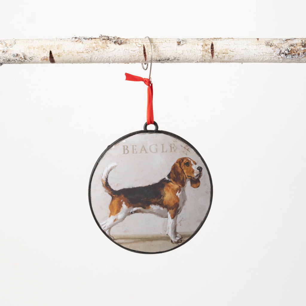 Dg Beagle Ornament            